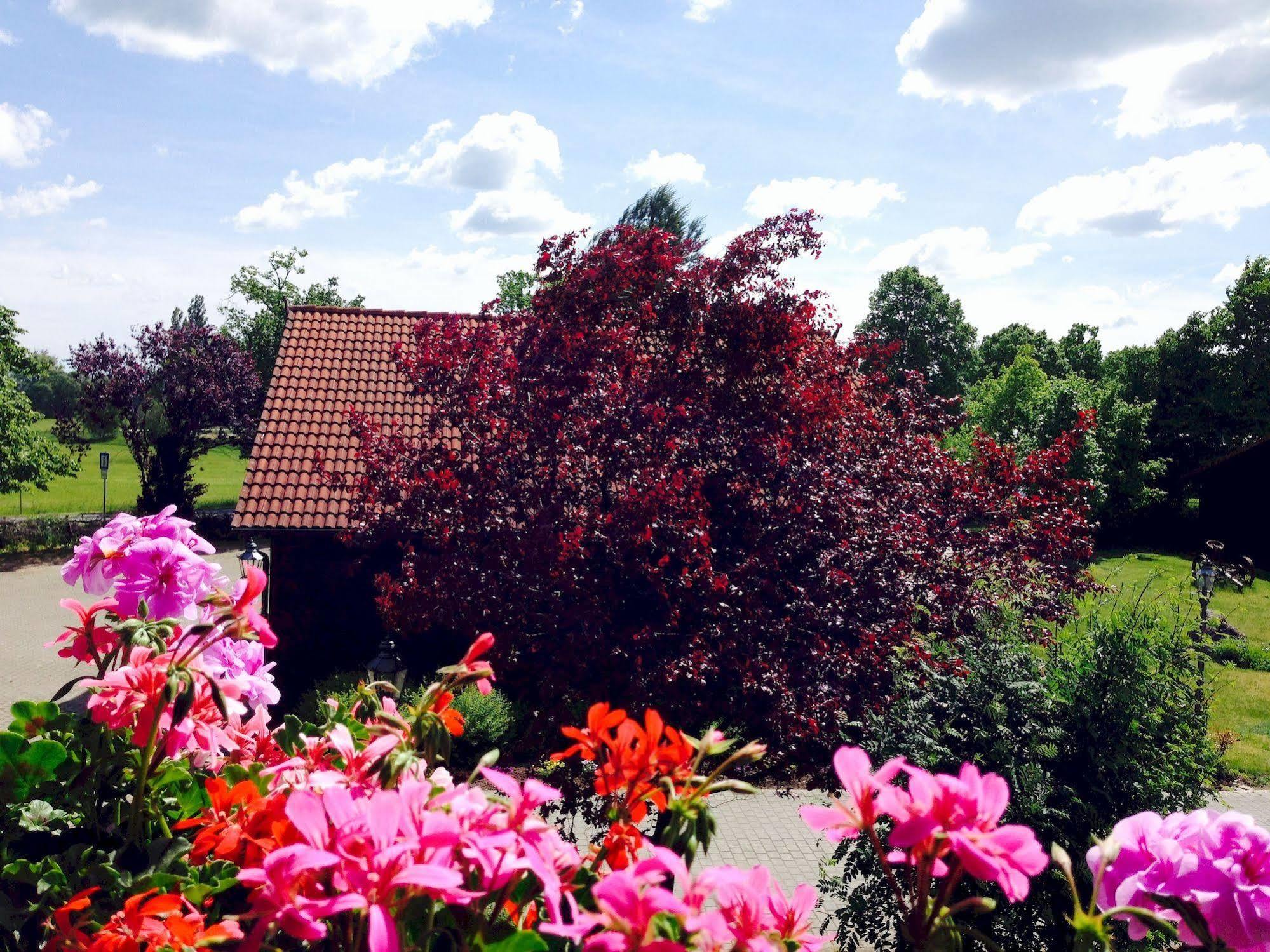 Hotel & Restaurant Zur Spreewaelderin Golßen Exteriér fotografie